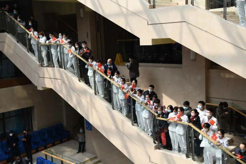 吉林英雄 吉林援鄂醫(yī)療隊(duì)凱旋攝影作品選 咨詢策劃服務(wù)